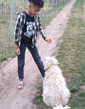 #100039 - Renee József (8)